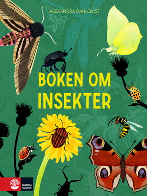 cover image of Boken om insekter